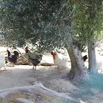 Casa Vacanza Podere Ristoro *