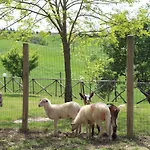 Casa Vacanza Podere Ristoro Апартаменты *